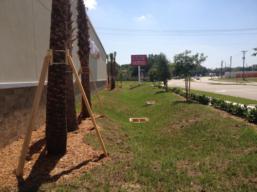 Family Dollar - Sebring Parkway